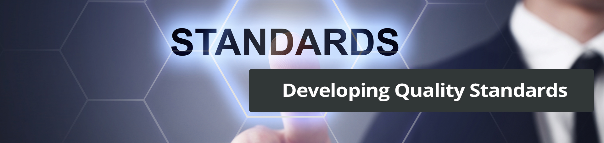 Standards banner image